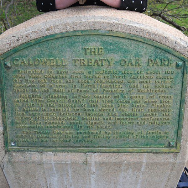 The_Treaty_Oak_Austin_01