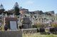 Waverley Cemetery