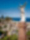 Waverley Cemetery 3