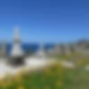 Waverley Cemetery 6