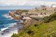 Waverley Cemetery