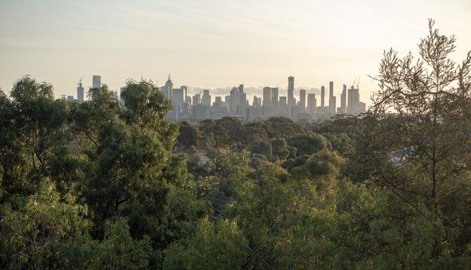 Wurundjeri Spur Lookout