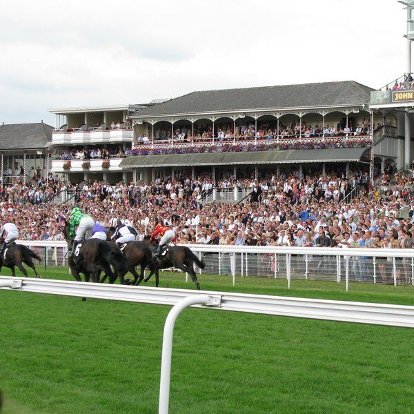 York Races 4