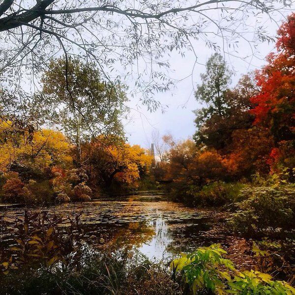 alfred caldwell lily pool 8.jpg