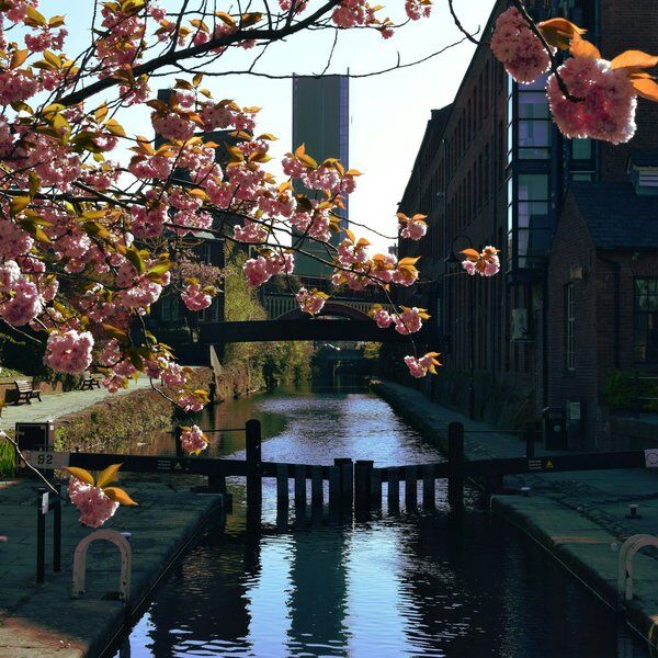 Things to Do in Manchester for Couples