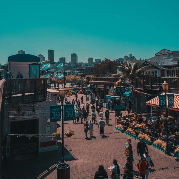 14+ Things to Do in San Francisco with Kids