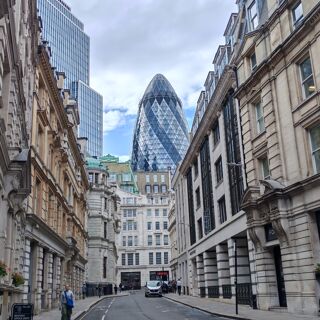 Winner Winner Chicken Dinner