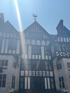 Millhouses