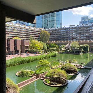 Where's my cameraman