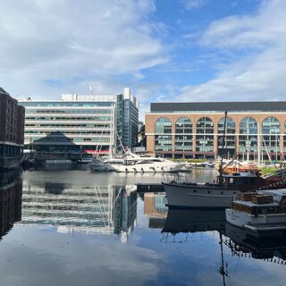 Lemon tarragon chicken