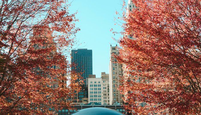 Chicago Scavenger Hunt