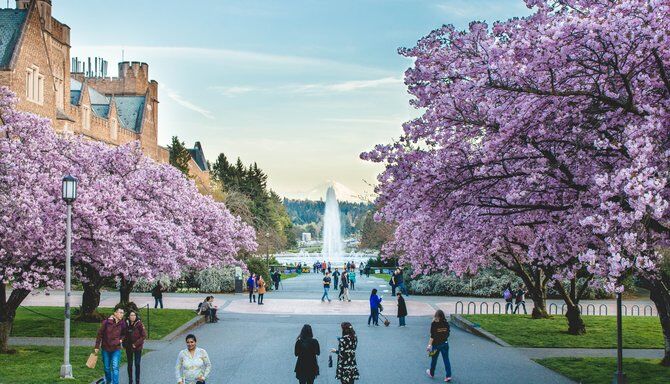 Scavenger & Treasure Hunt Scavenger & Treasure Hunt