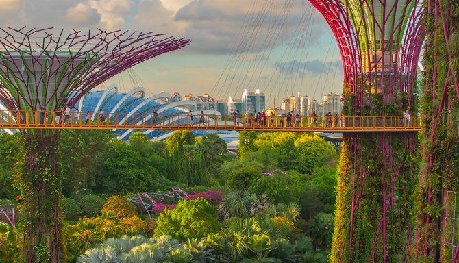 Scavenger & Treasure Hunt