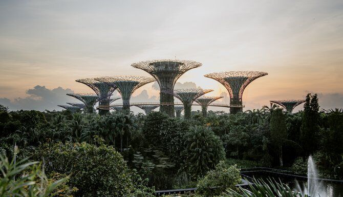 Scavenger & Treasure Hunt