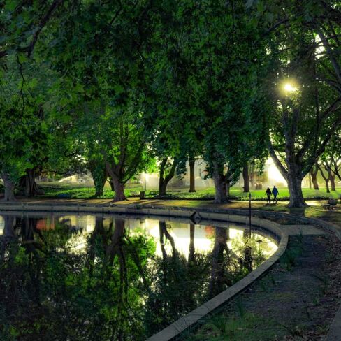 The King's Park