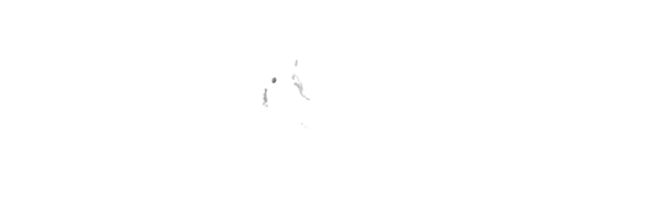 Line of Duty: Operation Echo